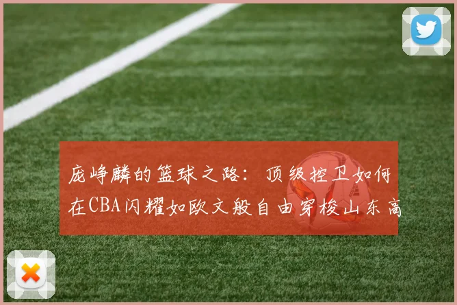 庞峥麟的篮球之路：顶级控卫如何在CBA闪耀如欧文般自由穿梭山东高速